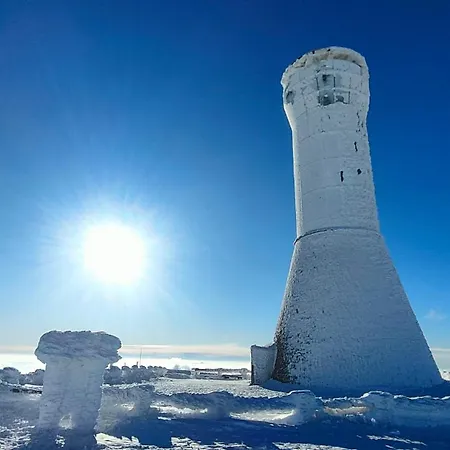 Sniezny Daire Miedzygorze