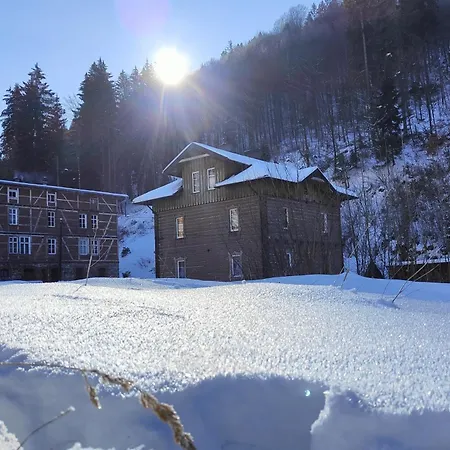 Sniezny Daire Miedzygorze