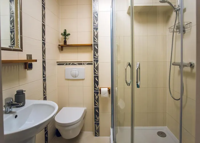 Апартаменты Sniezny Мендзыгуже