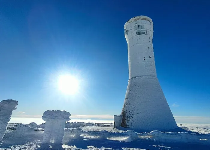 Sniezny Апартаменты Мендзыгуже