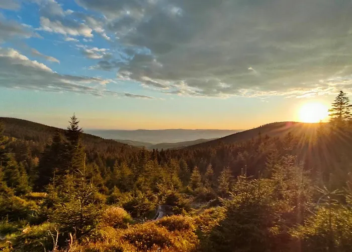 Sniezny Мендзыгуже