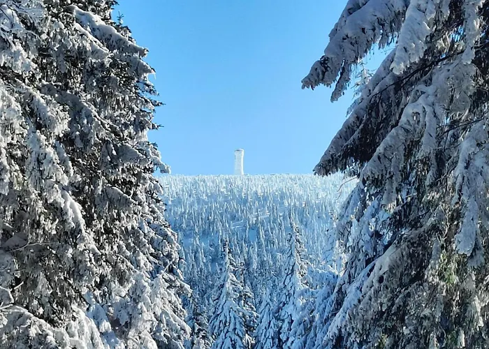 Апартаменты Sniezny