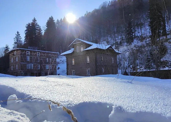 Sniezny Апартаменты Мендзыгуже